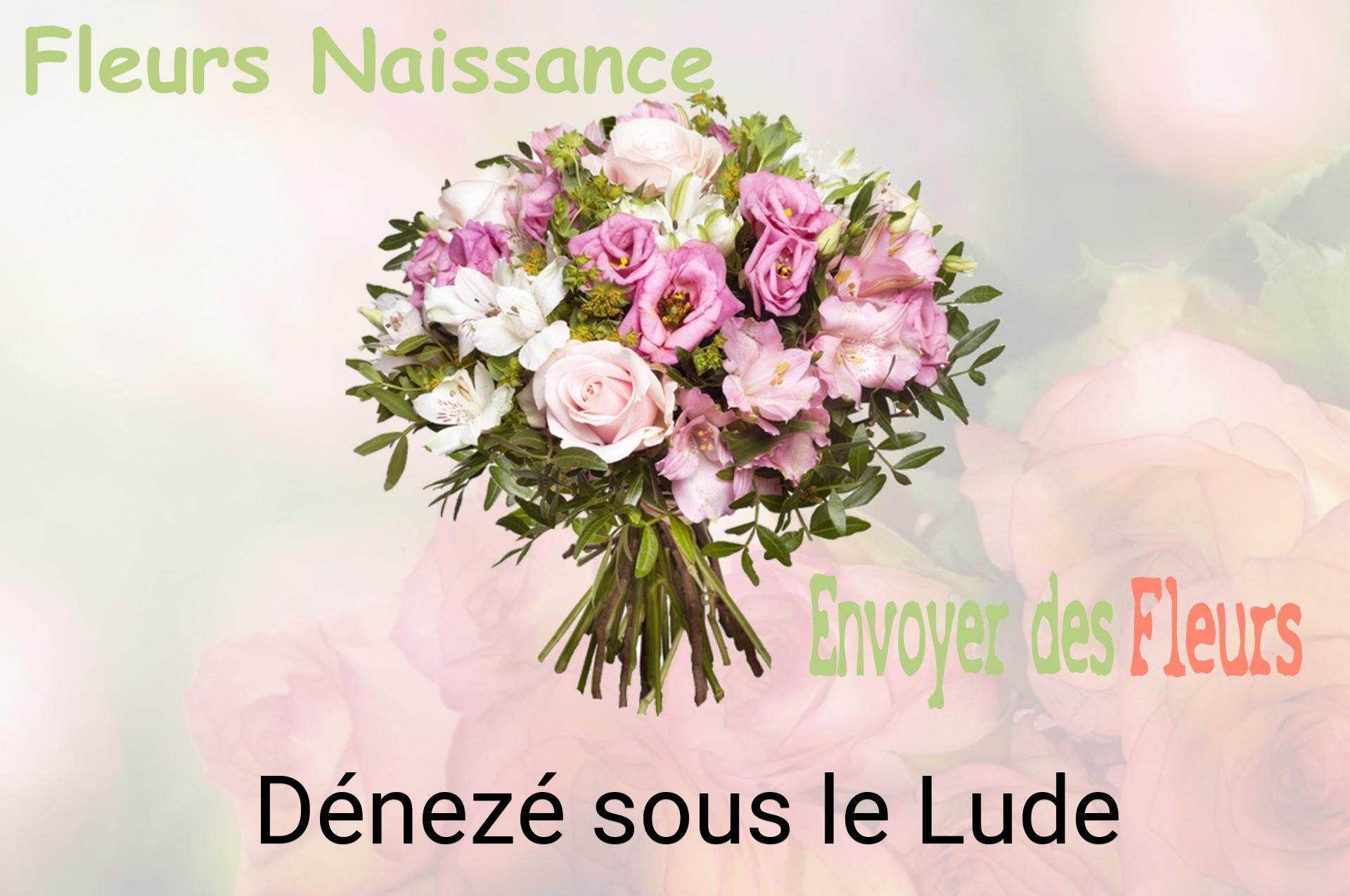 Bouquet de fleurs de naissance livré à Dénezé-sous-le-Lude
